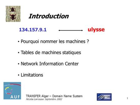TRANSFER Alger – Domain Name System Nicolas Larrousse Septembre 2002 1 Introduction 134.157.9.1 ulysse Pourquoi nommer les machines ? Tables de machines.