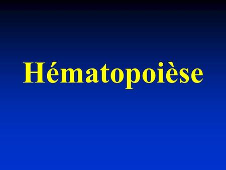 Hématopoièse.
