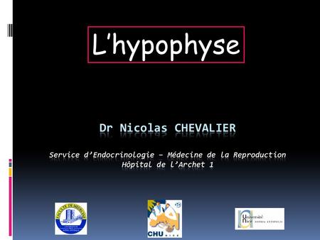 L’hypophyse Dr Nicolas CHEVALIER Service d’Endocrinologie – Médecine de la Reproduction Hôpital de l’Archet 1.
