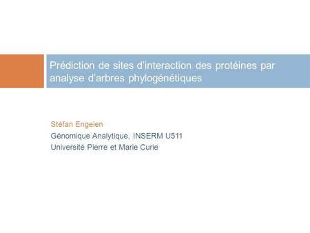 Prédiction de sites dinteraction des protéines par analyse darbres phylogénétiques Stéfan Engelen Génomique Analytique, INSERM U511 Université Pierre et.