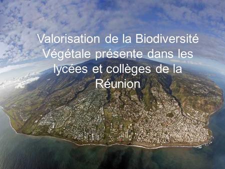 La Réunion parmi un point chaud de la biodiversité Mondiale