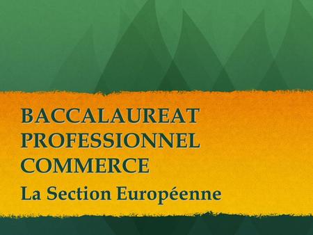 BACCALAUREAT PROFESSIONNEL COMMERCE La Section Européenne.