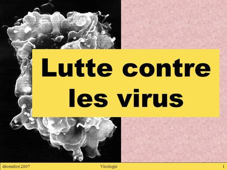 Lutte contre les virus décembre 2007 Virologie.