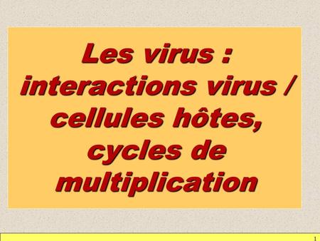 Les diverses interactions phages / bactéries