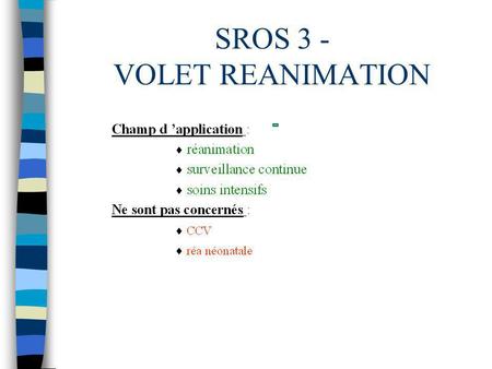 SROS 3 - VOLET REANIMATION. n L analyse de l existant s est effectuée à partir d enquêtes spécifiques qui portaient sur : - l activité et le fonctionnement.