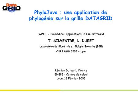 PhyloJava : une application de phylogénie sur la grille DATAGRID