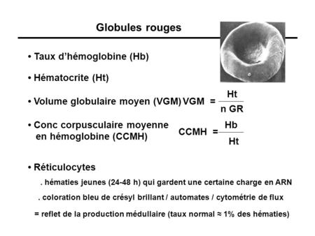 Globules rouges • Taux d’hémoglobine (Hb) • Hématocrite (Ht) Ht
