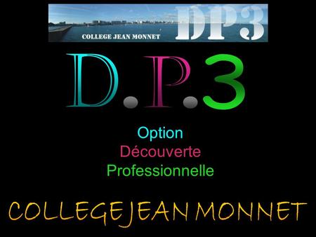 Option Découverte Professionnelle. Le groupe DP3 en 2010 - 2011.