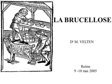 LA BRUCELLOSE Dr M. VELTEN Reims 9 -10 mai 2005.