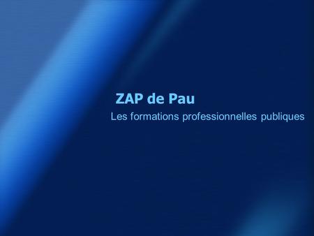 ZAP de Pau Les formations professionnelles publiques.