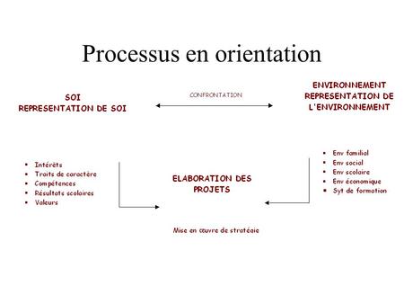 Processus en orientation. Un processus dynamique.