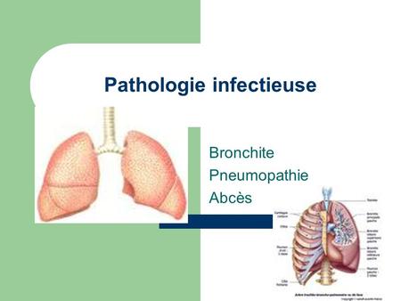 Pathologie infectieuse