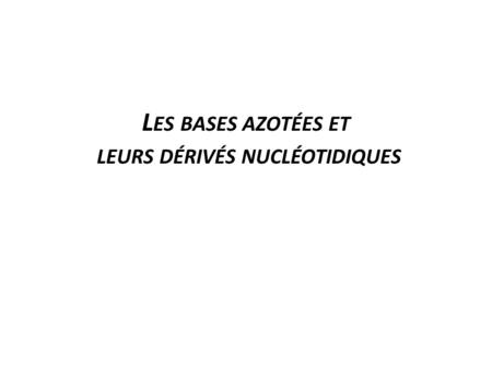 Les bases azotées et leurs dérivés nucléotidiques
