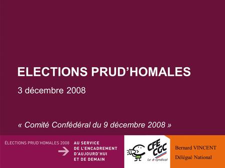 ELECTIONS PRUDHOMALES 3 décembre 2008 « Comité Confédéral du 9 décembre 2008 » Bernard VINCENT Délégué National.