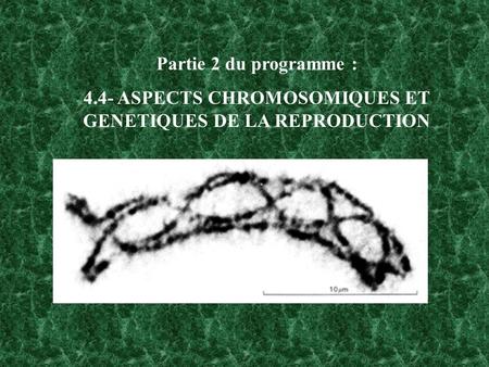 4.4- ASPECTS CHROMOSOMIQUES ET GENETIQUES DE LA REPRODUCTION