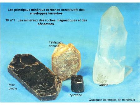 TP n°1 : Les minéraux des roches magmatiques et des péridotites.