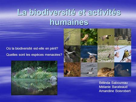 La biodiversité et activités humaines