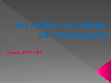 Les métiers au collège de Champagney Dossier PDMF 5e3.