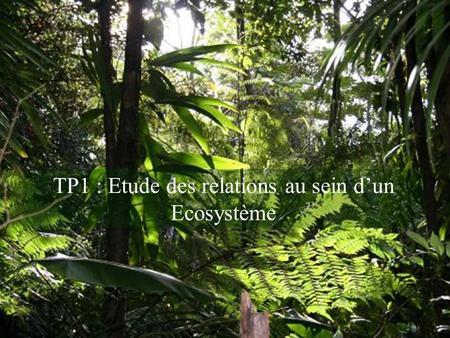 TP1 : Etude des relations au sein d’un Ecosystème