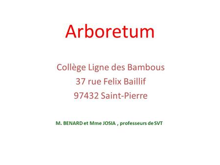 Collège Ligne des Bambous 37 rue Felix Baillif Saint-Pierre