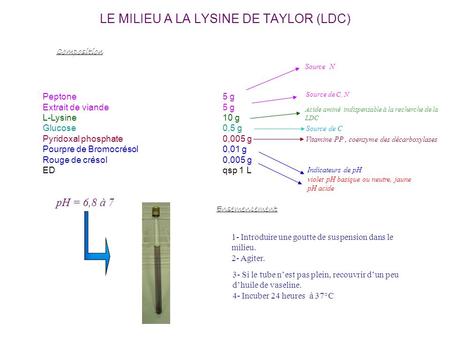 LE MILIEU A LA LYSINE DE TAYLOR (LDC)