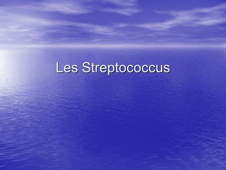 Les Streptococcus.