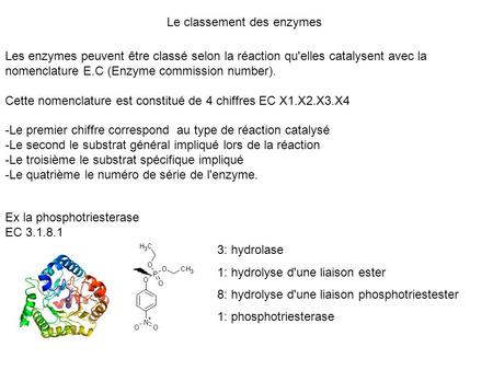 Le classement des enzymes