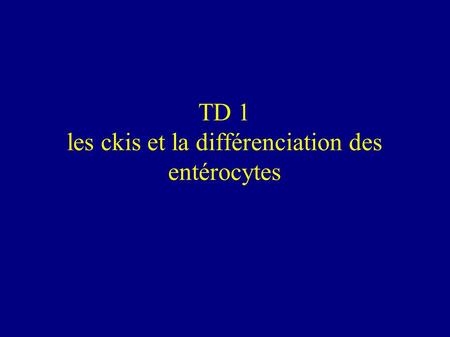 TD 1 les ckis et la différenciation des entérocytes