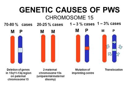 GENETIC CAUSES OF PWS CHROMOSOME 15