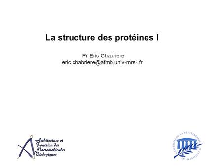 La structure des protéines I