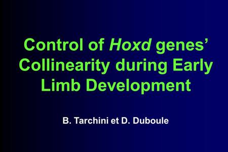 Control of Hoxd genes’ Collinearity during Early Limb Development