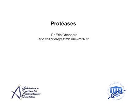 Protéases Pr Eric Chabriere eric.chabriere@afmb.univ-mrs-.fr.