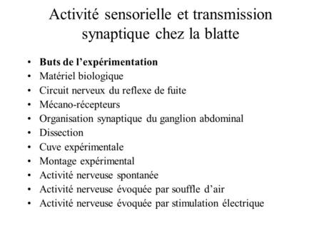 Activité sensorielle et transmission synaptique chez la blatte