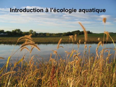 Introduction à l’écologie aquatique