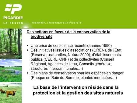 Des actions en faveur de la conservation de la biodiversité Une prise de conscience récente (années 1990) Des initiatives issues dassociations (CREN),