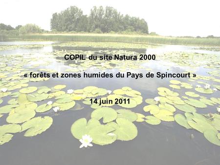 « forêts et zones humides du Pays de Spincourt »