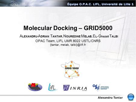 Molecular Docking – GRID5000 ALEXANDRU-ADRIAN TANTAR, NOUREDINE MELAB, EL- Ghazali TALBI OPAC Team, LIFL UMR 8022 USTL/CNRS {tantar, melab, talbi}@lifl.fr.
