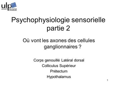 Psychophysiologie sensorielle partie 2
