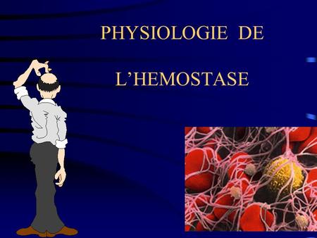 PHYSIOLOGIE DE L’HEMOSTASE