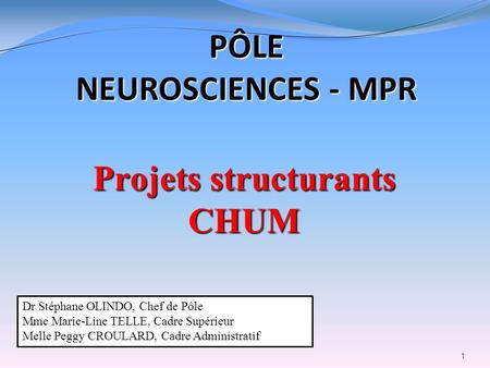 Projets structurants CHUM