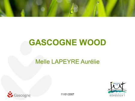 11/01/2007 GASCOGNE WOOD Melle LAPEYRE Aurélie. 11/01/2007 Historique de lentreprise 1925: Création des papeteries de Gascogne 1976: Organisation des.