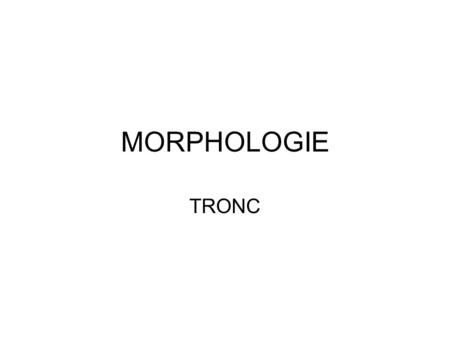 MORPHOLOGIE TRONC.