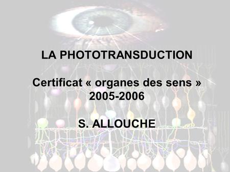 LA PHOTOTRANSDUCTION Certificat « organes des sens » S