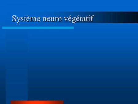 Système neuro végétatif