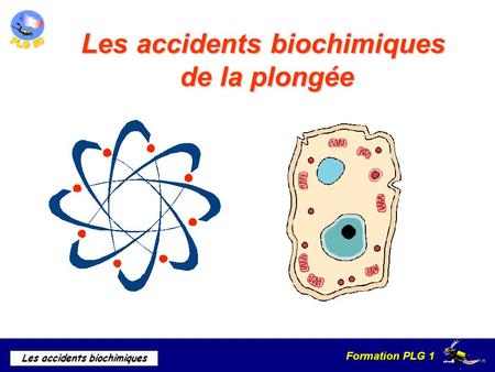 Les accidents biochimiques de la plongée
