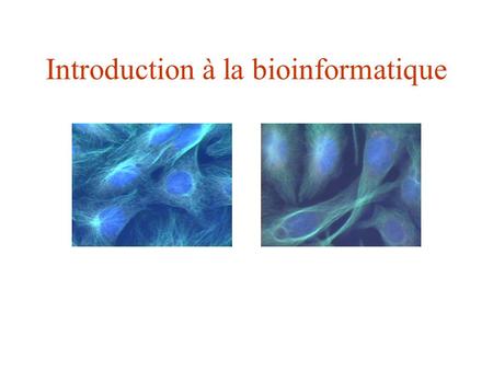 Introduction à la bioinformatique