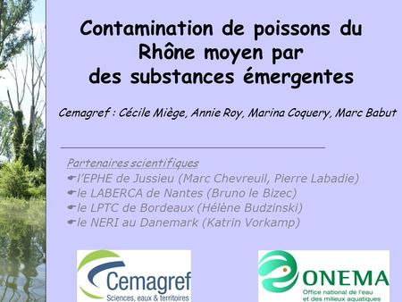 Contamination de poissons du Rhône moyen par des substances émergentes