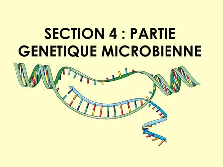 SECTION 4 : PARTIE GENETIQUE MICROBIENNE