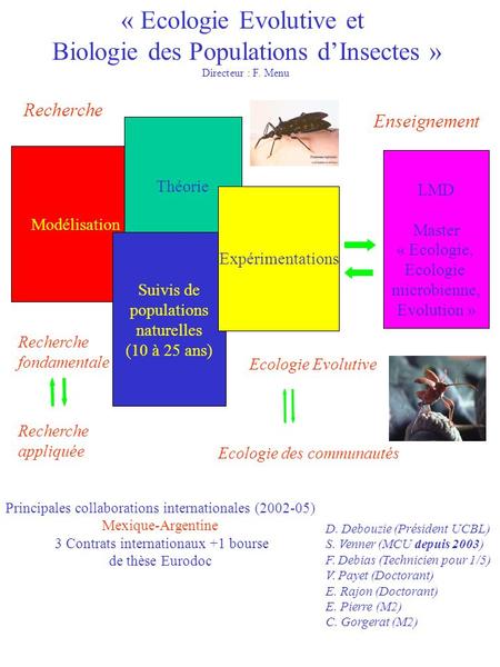 « Ecologie Evolutive et Biologie des Populations dInsectes » Directeur : F. Menu Modélisation Théorie Suivis de populations naturelles (10 à 25 ans) Expérimentations.