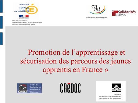 Promotion de lapprentissage et sécurisation des parcours des jeunes apprentis en France »